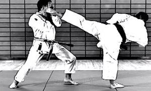 2ème, 3ème DAN ; Ippon Kumite
